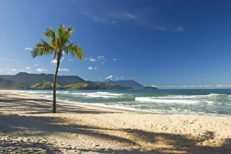 Litoral de São Paulo: As Praias Mais Bonitas Para Conhecer em 2026